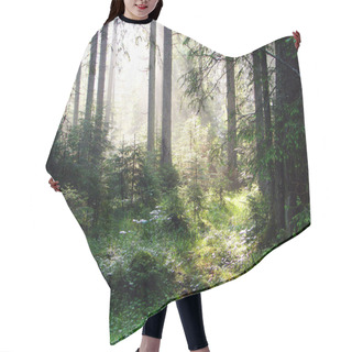Personality  Forest Hair Cutting Cape