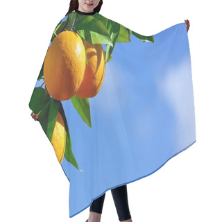 Personality  Oranges Hanging Tree Hair Cutting Cape
