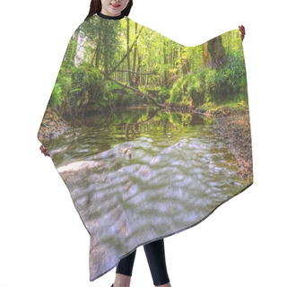 Personality  Low Point Of View Along Stream Running Through Forest With Deep Hair Cutting Cape