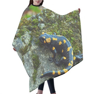 Personality  Gorgeous Fire Salamander Hair Cutting Cape