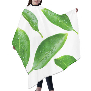 Personality  Citrus Leaves With Drops Isolated On A White Background Hair Cutting Cape