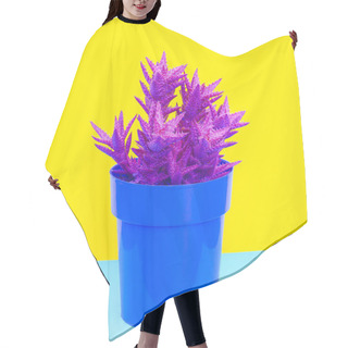 Personality  Colorful Cactus Design  Minimal Cactus Lover Concept Hair Cutting Cape