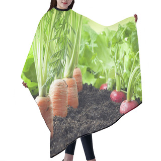 Personality  Vegetables Growing In Garden Hair Cutting Cape