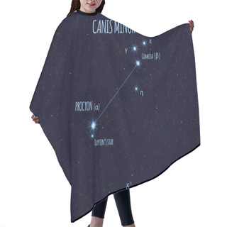 Personality  Canis Minor (The Lesser Dog) Constellation, Vector Illustration With The Names Of Basic Stars Against The Starry Sky Hair Cutting Cape