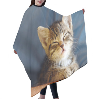 Personality  Baby Cat Portrait Hair Cutting Cape