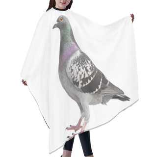 Personality  Check Pattern Feather Of Speed Racing Pigeon Isolated White Background Hair Cutting Cape