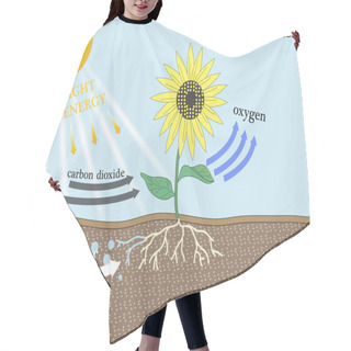 Personality  Photosynthesis Vetor Design Hair Cutting Cape