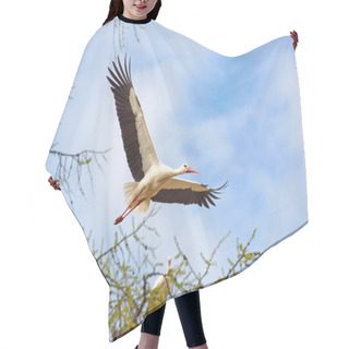Personality  Flying Stork Hair Cutting Cape
