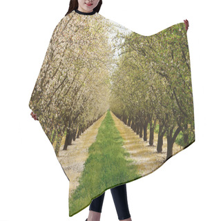 Personality  Almond Orchard Hair Cutting Cape