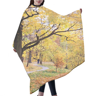 Personality  Autumn In City Park Hair Cutting Cape