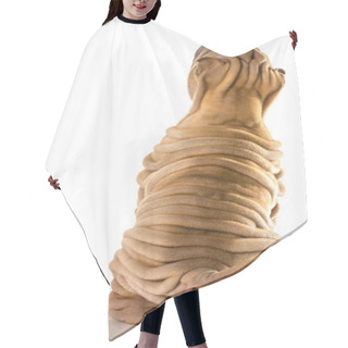 Personality  Chinese Shar Pei  Hair Cutting Cape