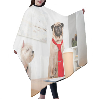 Personality  Business Dogs In Neckties Hair Cutting Cape