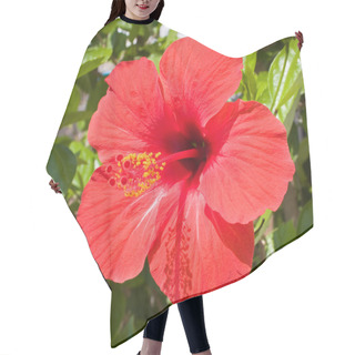 Personality  Red Hibiscus Flower Hair Cutting Cape