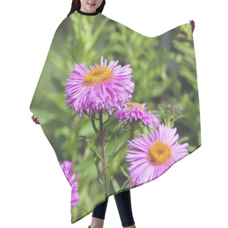 Personality  Flowers Aster Hair Cutting Cape