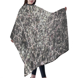 Personality  Thorn Bush Hair Cutting Cape