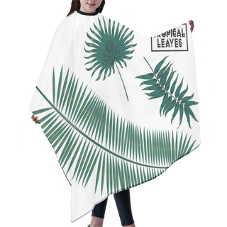 Personality  Tropical Branches, Leaves On White Background, Palm Tree Leaves Isolated Hair Cutting Cape