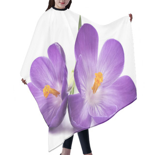 Personality  PURPLE CROCUS FLOWER Hair Cutting Cape