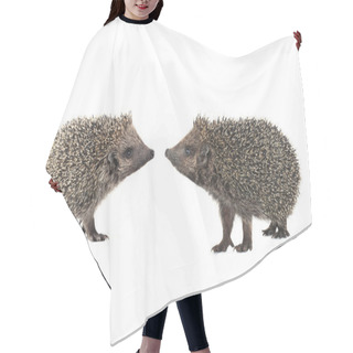 Personality  Hedgehogs On White Hair Cutting Cape