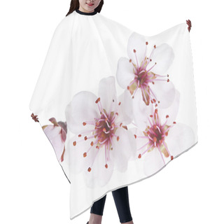 Personality  Cherry Blossoms Close Up Hair Cutting Cape