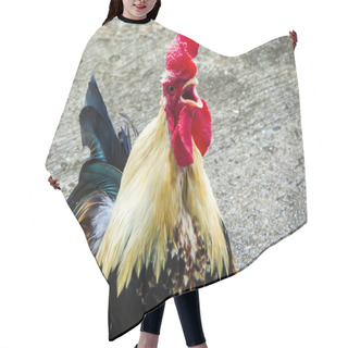 Personality  Cock Crow Chicken Hair Cutting Cape