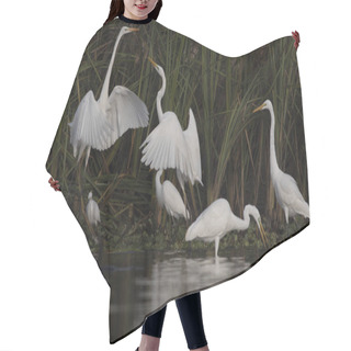 Personality  Flock Of Birds Fishing  Hair Cutting Cape