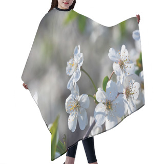 Personality  Blooms Tree Branch In Spring Hair Cutting Cape