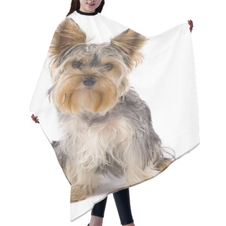 Personality  Yorkie Puppy Hair Cutting Cape