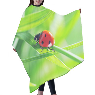 Personality  Ladybug On Grass Hair Cutting Cape