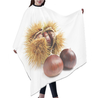 Personality  Fresh Sweet Edible Chestnuts On White Background Hair Cutting Cape