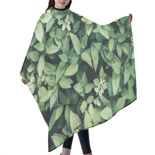 Personality  Full Frame Image Of Green Leaves Background  Hair Cutting Cape