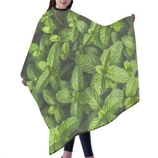 Personality  Fresh Pepper Mint Leaves Hair Cutting Cape