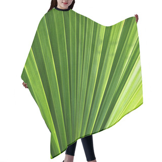 Personality  Green Tropical Palm Leaf In Detail Hair Cutting Cape