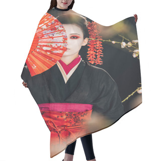 Personality  Selective Focus Of Beautiful Geisha In Black Kimono With Red Flowers In Hair Holding Hand Fan In Front Of Face And Sakura Branches Isolated On Black Hair Cutting Cape