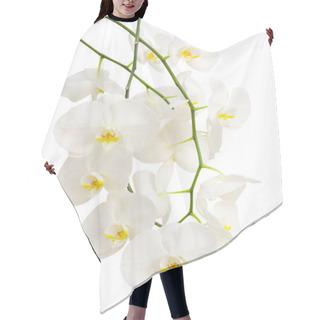 Personality  Long Elegant Branches Of White Romantic Orchid Flowers Hair Cutting Cape