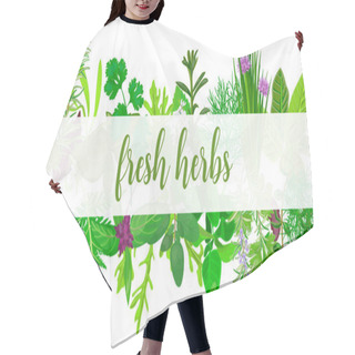 Personality  Fresh Realistic Herbs And Flowers With Text. Horizontal. Plants Above And Below. Hair Cutting Cape