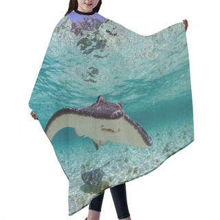 Personality  Spotted Eagle Ray And Stingray In Ocean Hair Cutting Cape