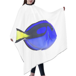 Personality  Palette Surgeonfish Hair Cutting Cape