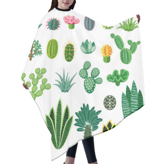 Personality  Cactus And Succulents. Hair Cutting Cape