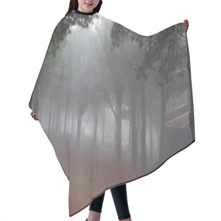 Personality  Ethereal Misty Woodland Hair Cutting Cape