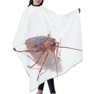 Personality  Cockroach Isolated Hair Cutting Cape