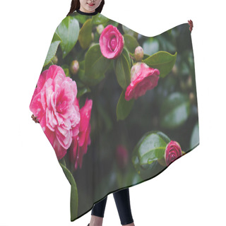 Personality  Beautiful Camellias Hair Cutting Cape