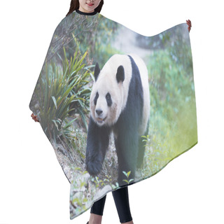 Personality  Panda In Park Hair Cutting Cape
