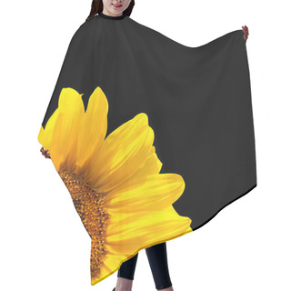 Personality  Blooming Sunflower Hair Cutting Cape