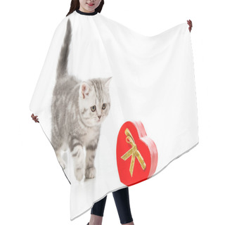 Personality  Adorable Kitten With Heart Shaped Gift Isolated On White  Hair Cutting Cape