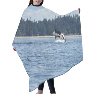 Personality  Jumping Orca Whale  Hair Cutting Cape