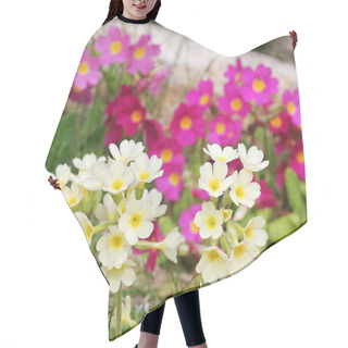 Personality  Yellow And Pink Wild Primroses In The Garden Hair Cutting Cape