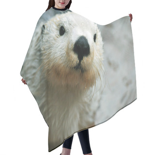 Personality  Cute White Otter Hair Cutting Cape