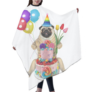 Personality  The Pug Dog In A Birthday Hat With Colored Balloons And Flowers Is Sitting Near A Two Tiered Cake. White Background. Isolated. Hair Cutting Cape