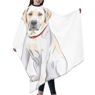 Personality  Vector Sketch Yellow Dog Breed Labrador Retriever Sitting Hair Cutting Cape