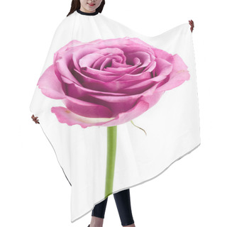 Personality  Pink Rose Isolated On White Hair Cutting Cape